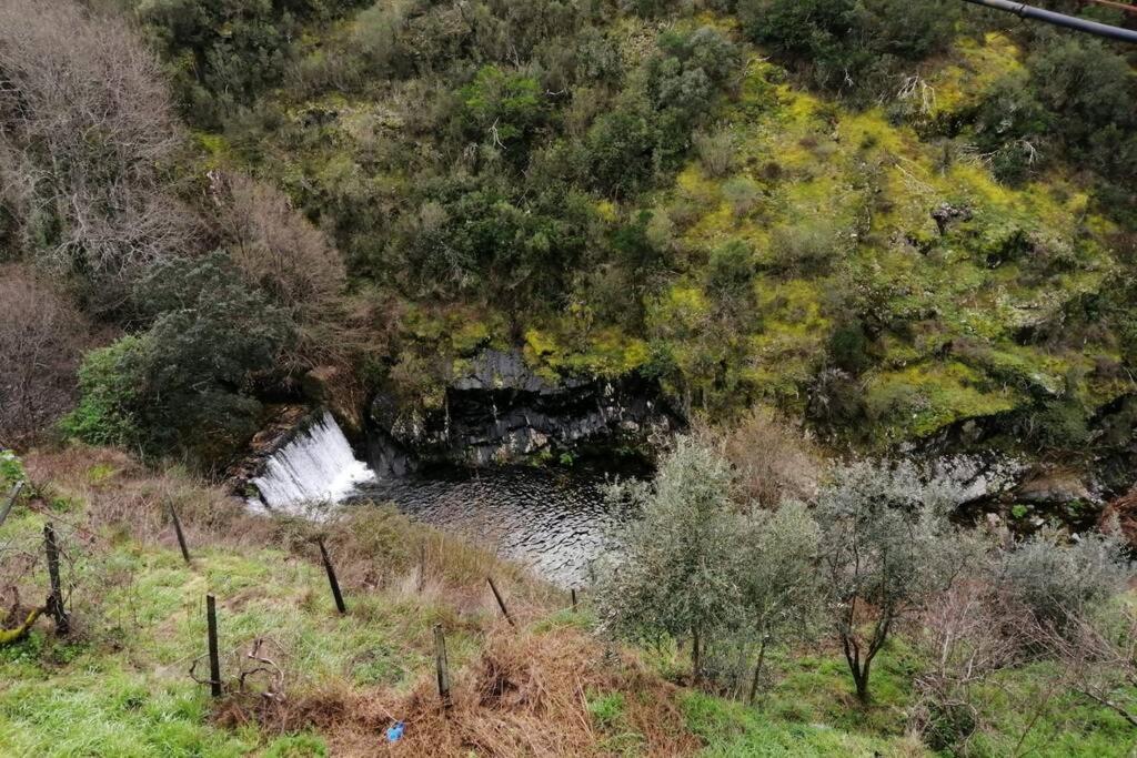 Casa Do Avo Alvaro - Refugio Do Rei Casal do Rei  외부 사진